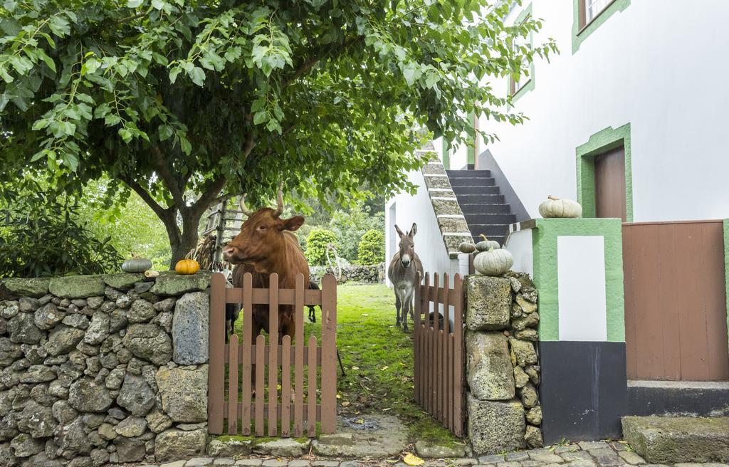 Quinta Do Martelo Hotel Angra do Heroísmo Kültér fotó